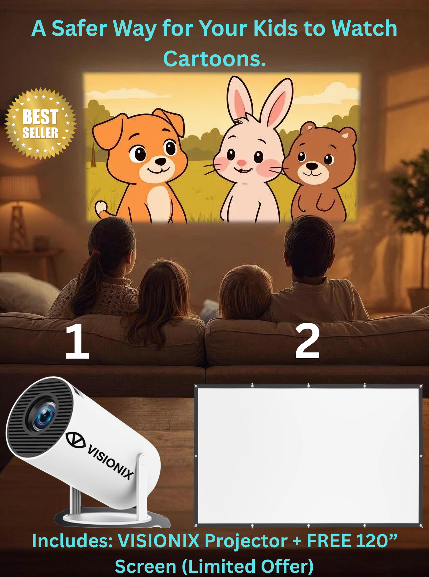 VISIONIX projector + VISIONIX MaxScreen 120"