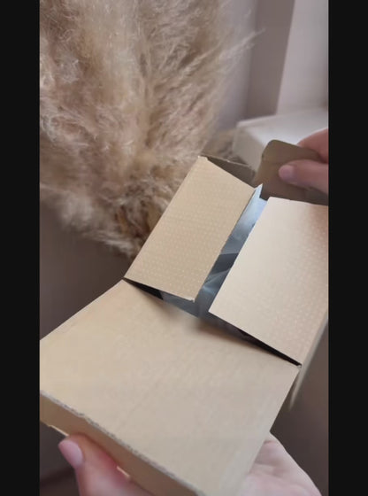 VISIONIX projector + VISIONIX MaxScreen 120"